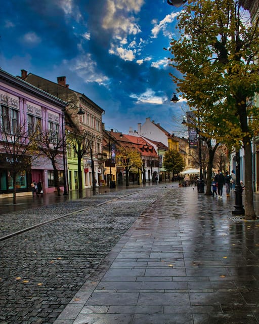 From Bucharest: Unravel Medieval Transylvania in 3-Day Tour - Who should book this, and who might skip it