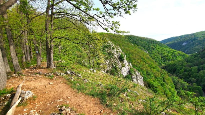 From Cluj: Gorges of Crisul Repede River - Peștera Podireului II and the first gorge viewpoints
