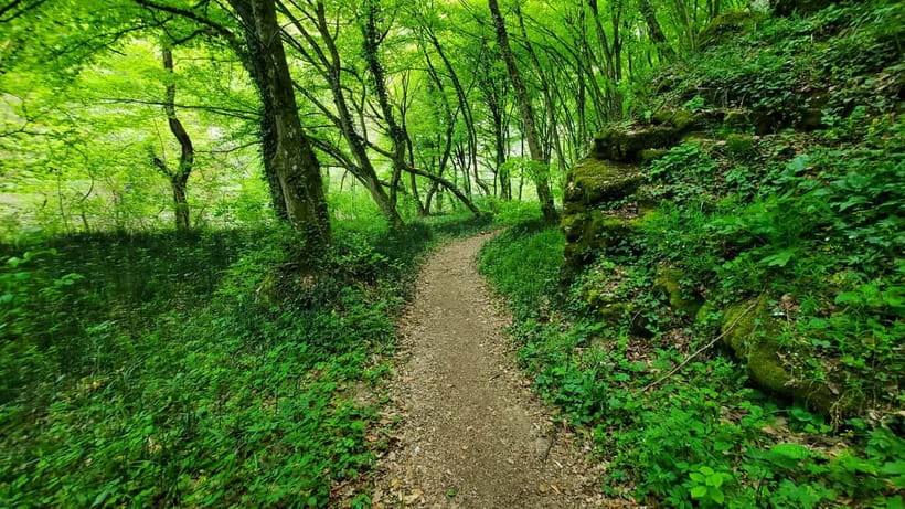 From Cluj: Gorges of Crisul Repede River - Şuncuiuş zipline, then a final walk on foot