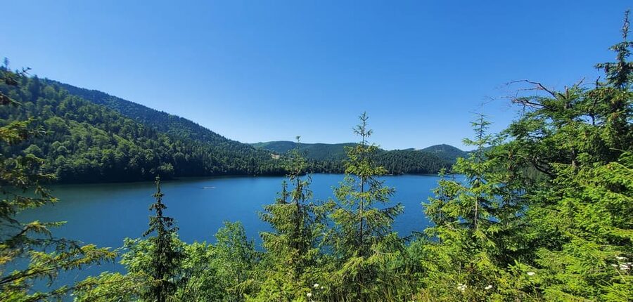From Cluj: Mountain Bike around Lake Dragan - The first descent: narrow forest road to the right arm of the lake
