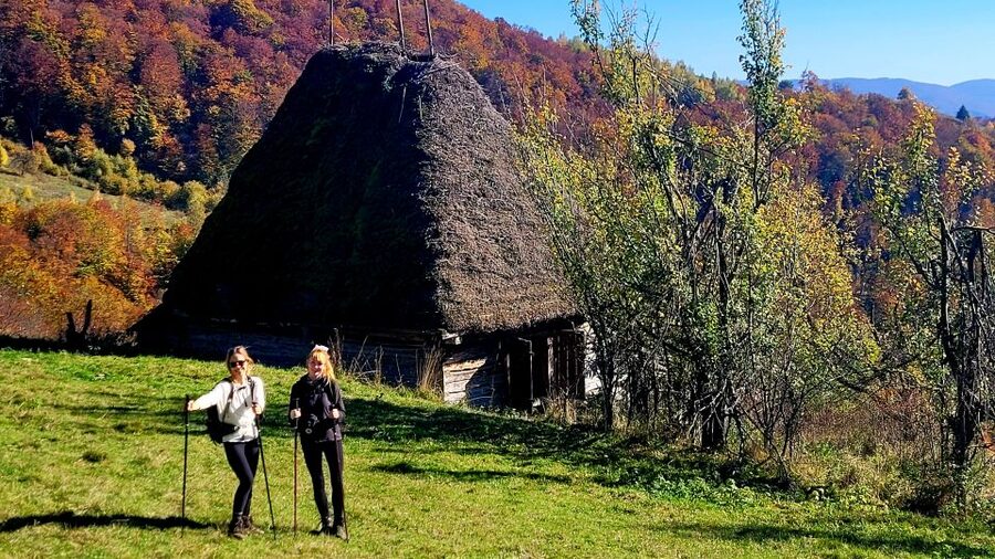 From Cluj-Napoca: Apuseni Mountains Hiking Guided Day Tour - Key things I think you will care about