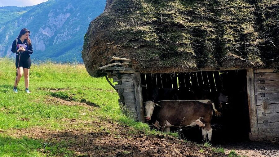 From Cluj-Napoca: Apuseni Mountains Hiking Guided Day Tour - Why this Apuseni day hike from Cluj feels worth it