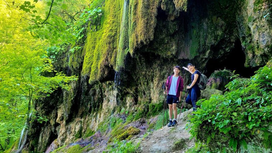 From Cluj-Napoca: Apuseni Mountains Hiking Guided Day Tour - Posaga de Sus and the first climb through beech forest