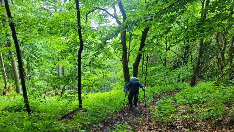 From Cluj-Napoca: Apuseni Mountains Hiking Guided Day Tour - The views that connect the dots: Aries valley, Trascăului Mountains, and Muntele Mare