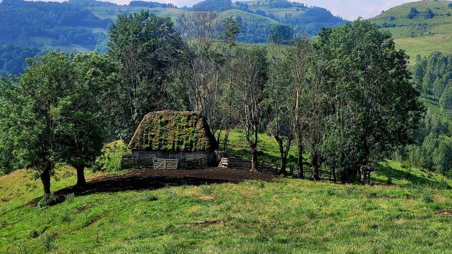 From Cluj-Napoca: Apuseni Mountains Hiking Guided Day Tour - Small group dynamics, and why guides like Tudor or Andrei matter