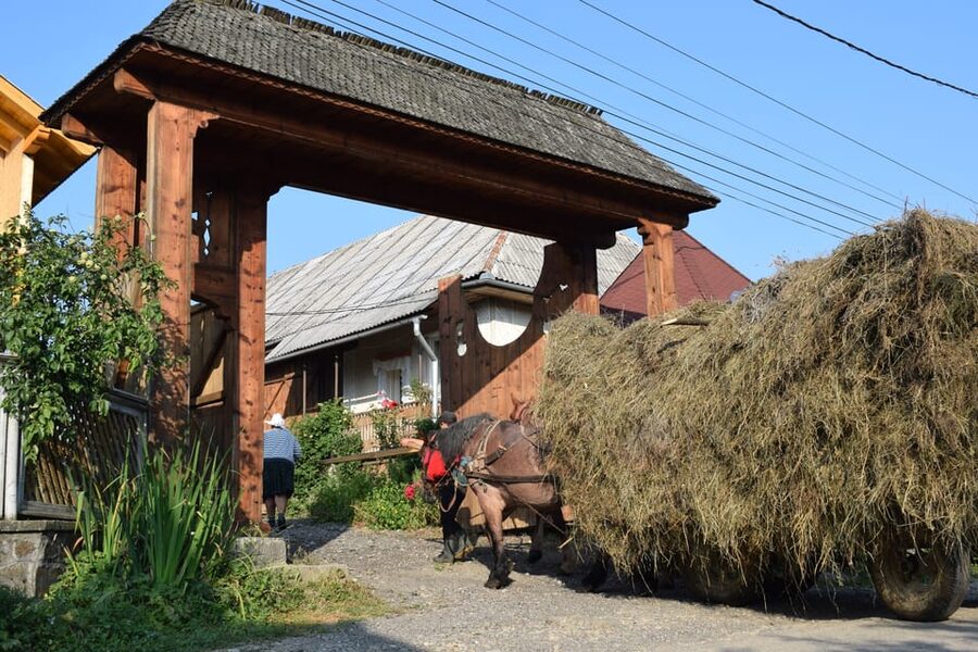 From Cluj-Napoca: Maramures Day Tour - The pace, walking time, and what that means for your body