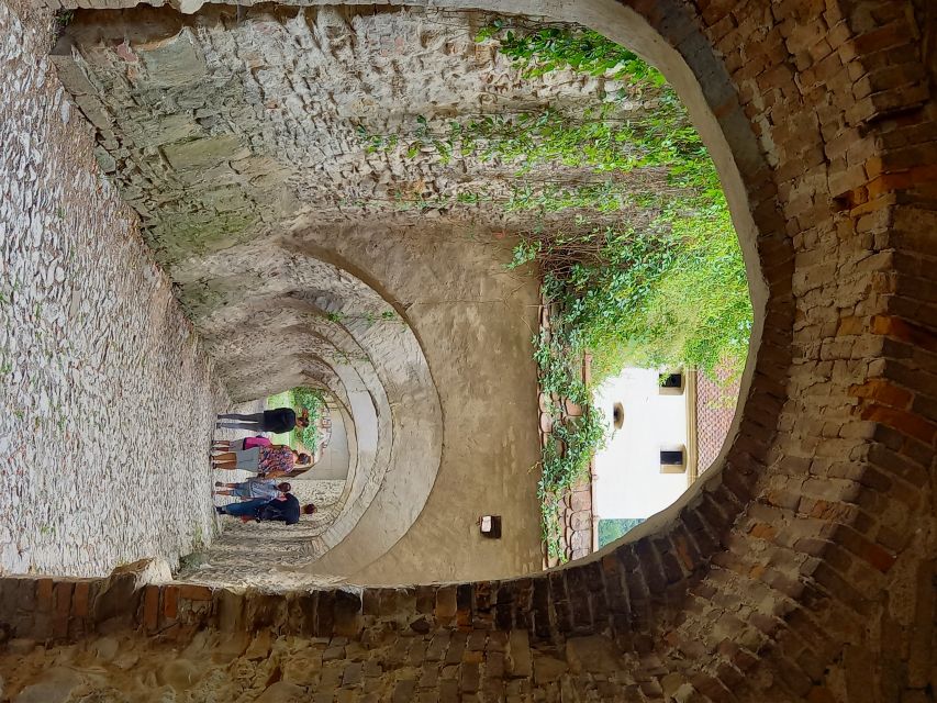 From Cluj: Sighișoara and Church of Biertan Guided Tour - Key things that make this tour worth your time