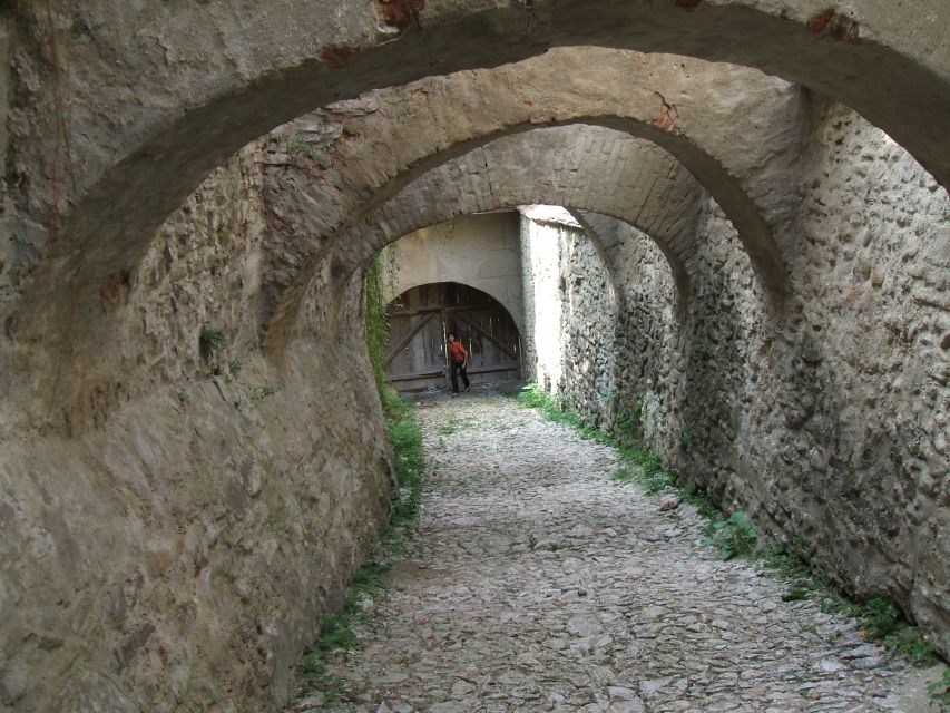 From Cluj: Sighișoara and Church of Biertan Guided Tour - Price and value for $115: two paid sights, one guided day