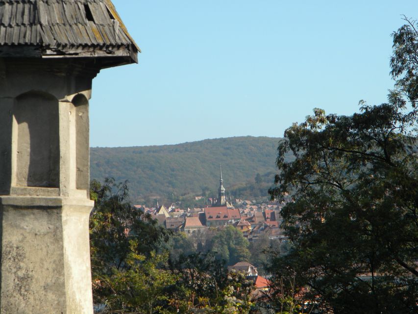 From Cluj: Sighișoara and Church of Biertan Guided Tour - Who this day trip fits best