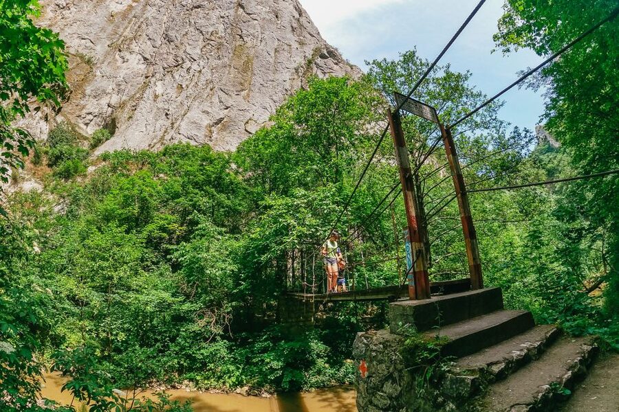 From Cluj: Turda Salt Mine, Gorge, and Remetea Full-Day Trip - Key highlights you will feel right away