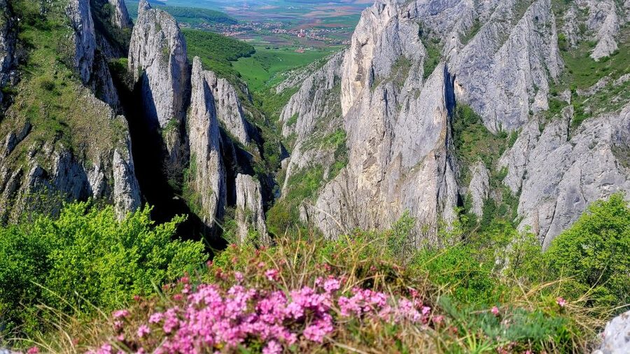 From Cluj: Turda Salt Mine, Gorge, and Remetea Full-Day Trip - Rimetea village: white houses, green windows, and a preserved rural feel