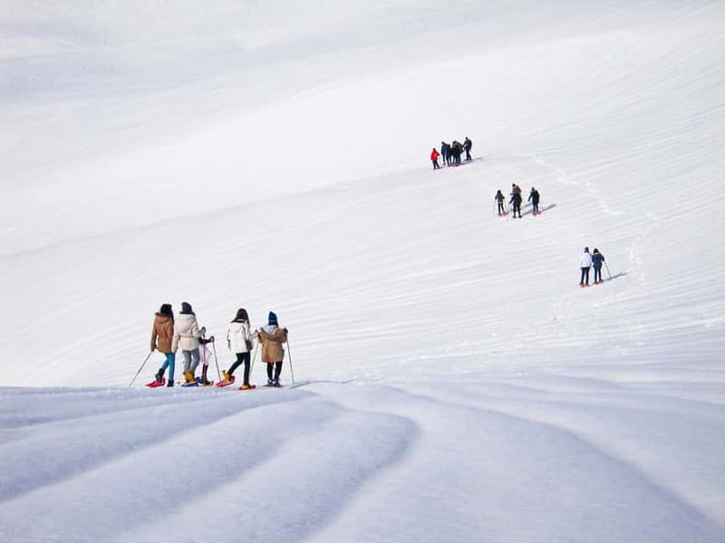 From Cluj: Winter Walking Trip on the Great Mountain - The main hike on the Great Mountain, what the day feels like