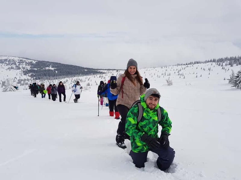 From Cluj: Winter Walking Trip on the Great Mountain - Meet Tudor, and why the guide can make or break the hike