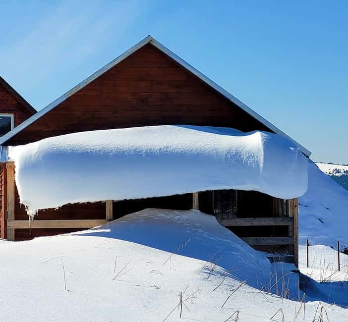 From Cluj: Winter Walking Trip on the Great Mountain - Should you book this Cluj Great Mountain snowshoe tour?
