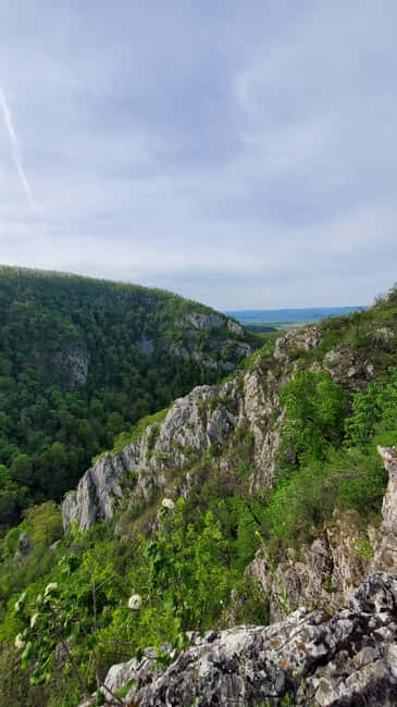 From Oradea: Gorges of Crisul Repede River - Should You Book the Gorges of Crisul Repede River Tour?