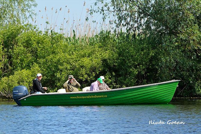 Guided Birdwatching day trip to the Danube Delta - private program - Key Things You Should Know Before You Go