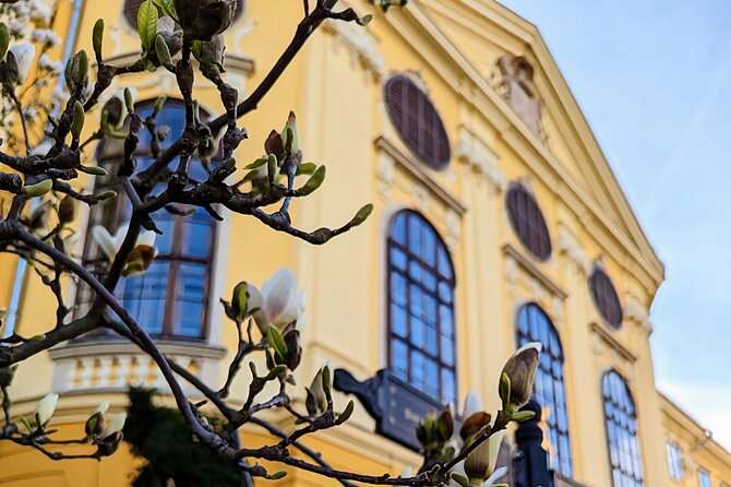Half-Day Private Food and Wine Walking Tour Oradea Romania - Calin’s Romanian and Hungarian food-story, plus a calm pace