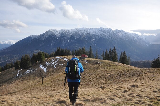 Hike in the Wild Private Photo Tour - Key Points If You Want the Wild Side of Transylvania