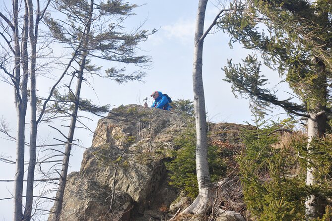 Hike in the Wild Private Photo Tour - Getting to the Taga Mountains: Brașov to Zărnești, then straight to quiet