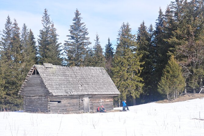 Hike in the Wild Private Photo Tour - The Photo Payoff: Carpathian views that span multiple massifs
