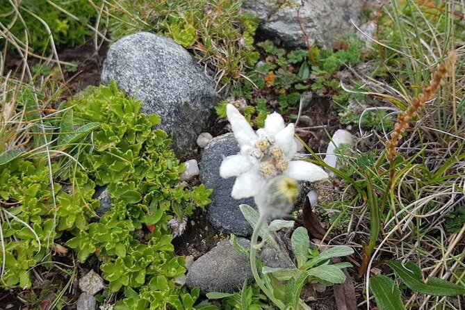 Hiking in Bucegi Mountains in the Carpathians, Private tour - What I like about the private guide (and why it matters)