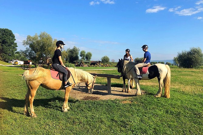 Horseback Riding Tour In Brasov - Ride Through Fields, Forests & Hills - Key things I’d highlight before you go