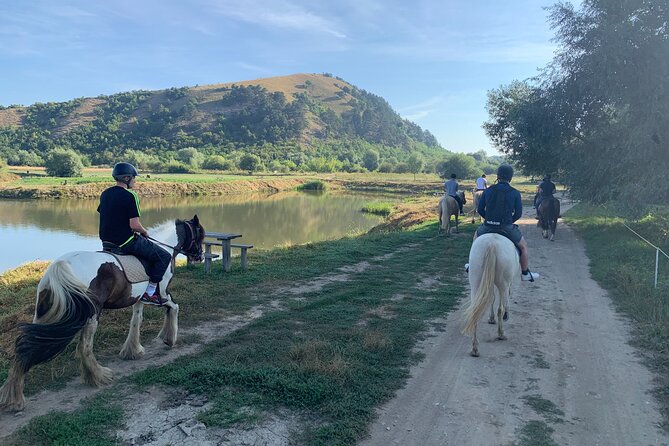Horseback Riding Tour In Brasov - Ride Through Fields, Forests & Hills - Brasov Horseback Riding: What the 5 Hours Actually Feels Like
