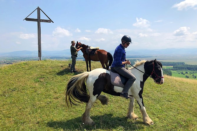 Horseback Riding Tour In Brasov - Ride Through Fields, Forests & Hills - Stables Access and Pure Breeds: The Ranch Time After the Ride