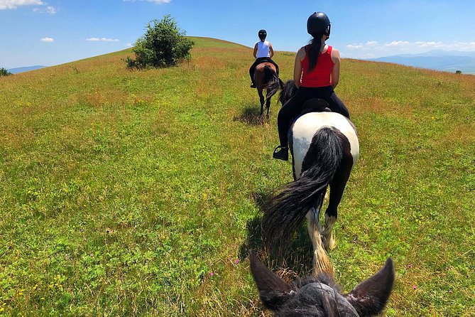 Horseback Riding Tour In Brasov - Ride Through Fields, Forests & Hills - Fortified Transylvanian Church: The Optional Cultural Piece