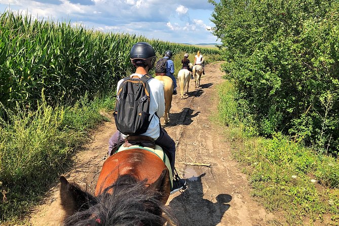 Horseback Riding Tour In Brasov - Ride Through Fields, Forests & Hills - Pickup, Meeting Point, and Small-Group Rhythm