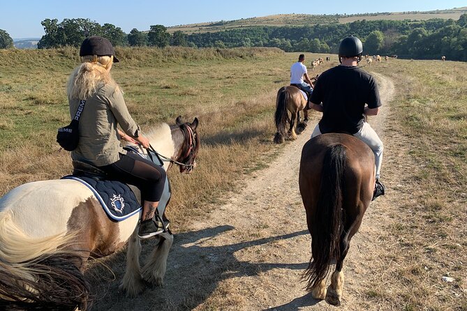 Horseback Riding Tour In Brasov - Ride Through Fields, Forests & Hills - Price and Value: What $144.57 Gets You in Practice