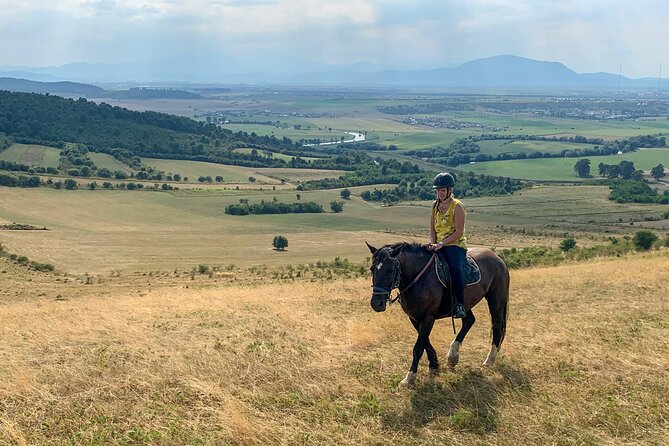 Horseback Riding Tour In Brasov - Ride Through Fields, Forests & Hills - Who This Brasov Horse Ride Is Best For