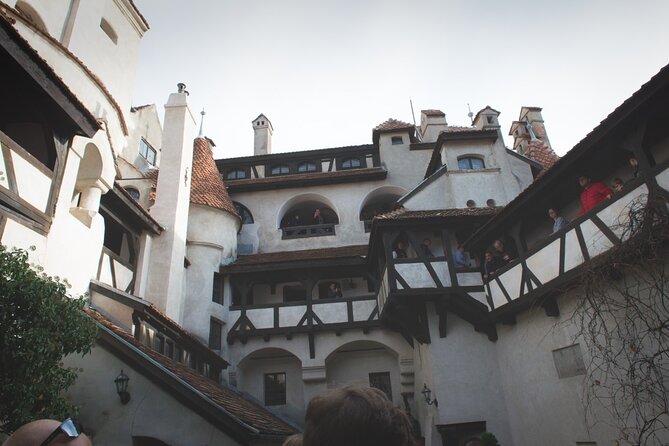 Legends&Wildlife Awaits: Dracula's Castle & Bear Sanctuary - Watching bears, then switching gears to Dracula at Bran Castle