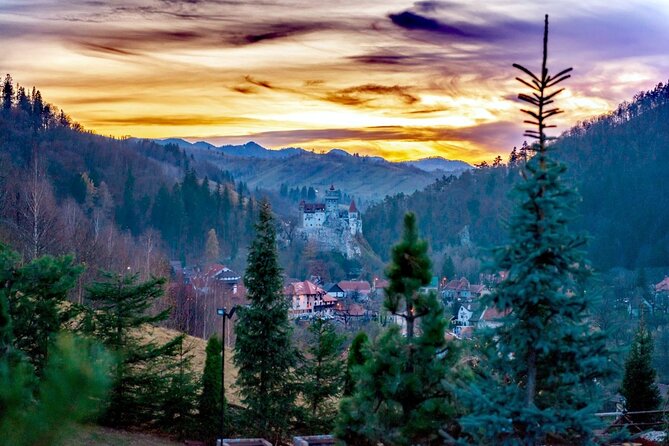 Legends&Wildlife Awaits: Dracula's Castle & Bear Sanctuary - Who this tour suits best, and who should be cautious
