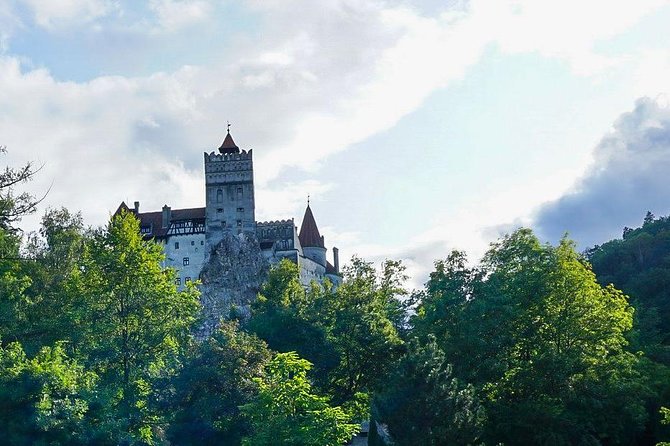Libearty Bear Sanctuary and Dracula's Castle - Day Tour from Bucharest - Who this trip fits best (and who should think twice)