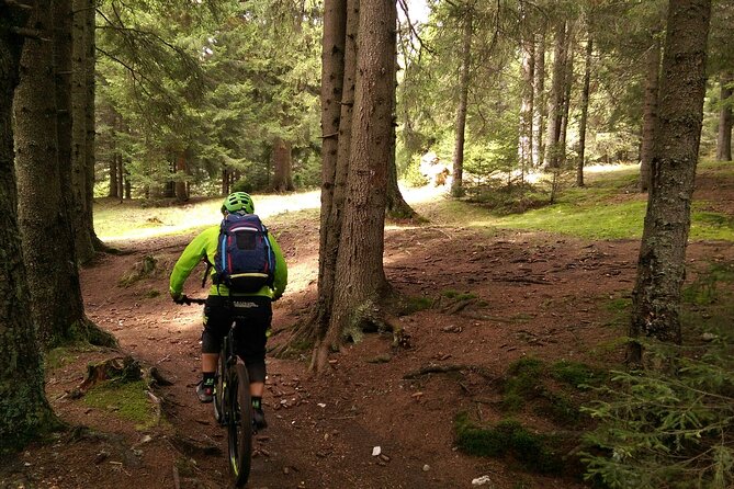 Mountain Bike Day Tour around Brasov - Where you’ll end up: Poiana Brasov vs the old town center