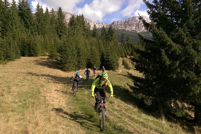 Mountain Bike Day Tour around Brasov - Who should book this mountain bike tour, and who should skip it