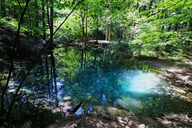 Nera Gorge National Park - Private Day Tour from Timisoara - Key things I’d highlight before you go