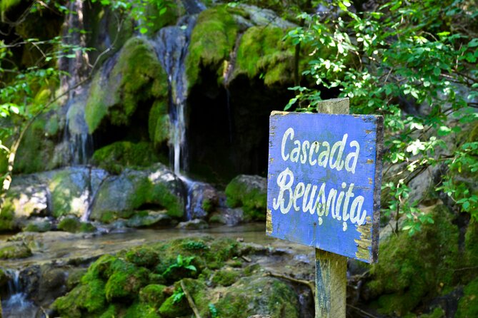 Nera Gorge National Park - Private Day Tour from Timisoara - From Timisoara to Nera Gorge in one long day