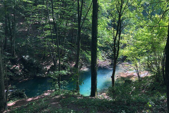 Nera Gorge National Park - Private Day Tour from Timisoara - Lunch plans: what to budget and why timing matters