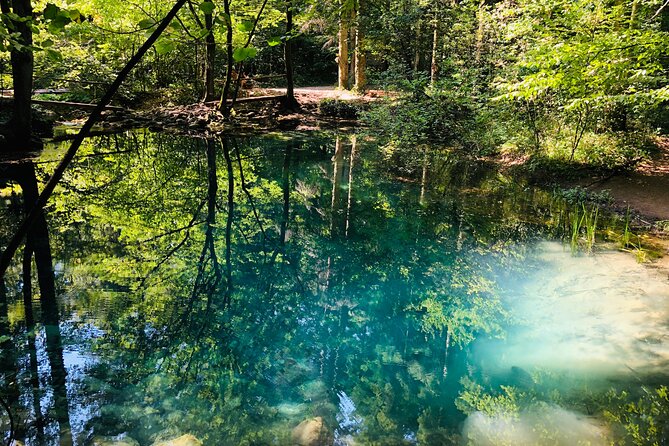Nera Gorge National Park - Private Day Tour from Timisoara - Price and value: $177.44 per person, what you really get