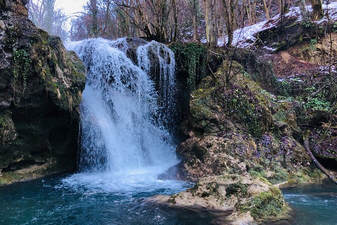 Nera Gorge National Park - Private Day Tour from Timisoara - The guide factor: stories, humor, and feeling safe