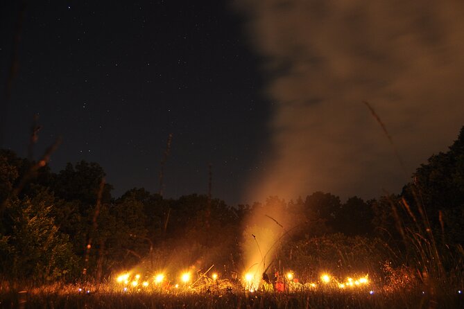 Night Tour in Hoia Baciu Forest - Hoia Baciu at night: UFO legends meet a real forest