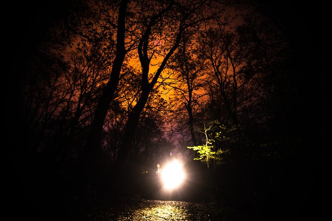 Night Tour in Hoia Baciu Forest - What you get (and what you need to bring) for night walking