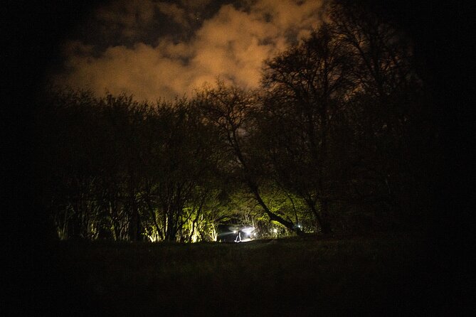 Night Tour in Hoia Baciu Forest - Pickup in Cluj-Napoca: convenience is part of the value