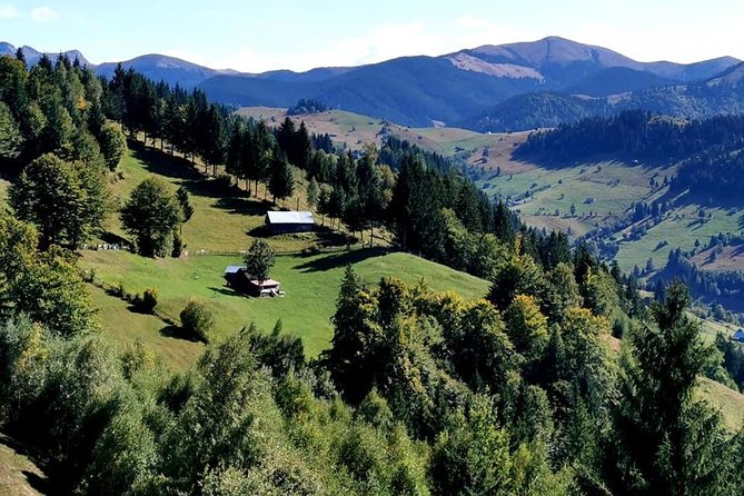 Off Road Adventures in Wild Carpathians - 5 Days - Day 5 Brasov Old Town, the Black Church, and back to Bucharest