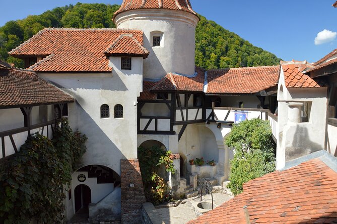 One Day Private Tour to Peles and Dracula Castles & Brasov City - A Private Road Trip From Bucharest to Peles, Bran, and Brasov