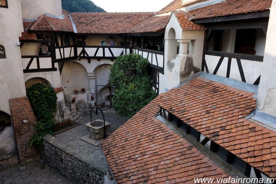 One day trip Bear Sanctuary, Dracula Castle - Who This Tour Fits Best (and Who Should Skip It)