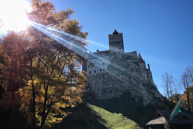 One day trip Bear Sanctuary, Dracula Castle, Rasnov Fortress from Brasov - Price and Logistics: What You Really Pay for One Day
