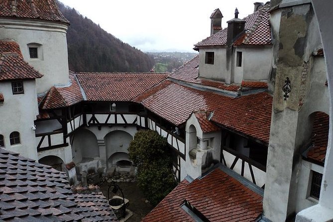 One day trip Bear Sanctuary, Dracula Castle, Rasnov Fortress from Brasov - Who This Tour Suits, and Who Might Want Another Option